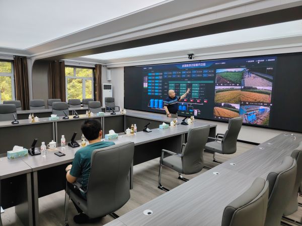 中國農業的超級逆襲,看懵了全**!